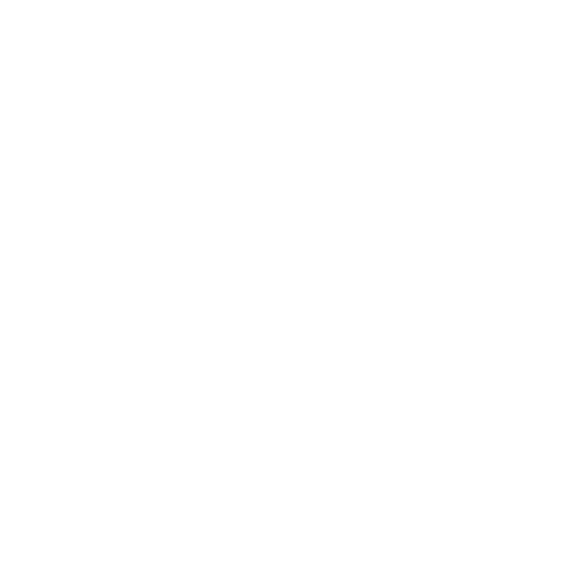 Influencer Marketing Icon